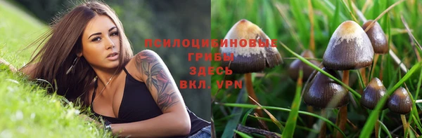 марки lsd Горнозаводск
